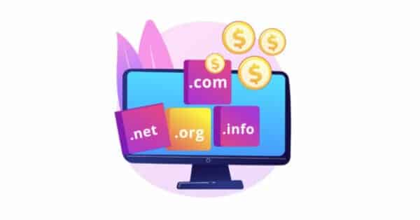Domain Hosting to WordPress Setup