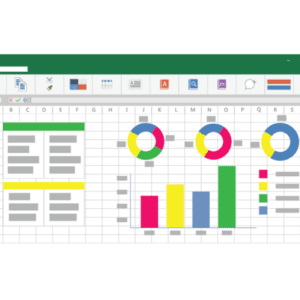 MICROSOFT EXCEL - NOVICE TO PROFESSIONAL