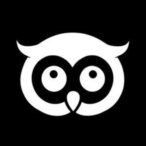 Profile photo of Unique Owls